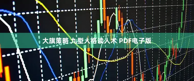 大旗策略 九型人格读人术 PDF电子版